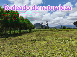 Land for sale in Los Planes de Sumango - Image 16