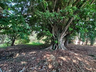 Terreno en venta, en San José Pinula - 3