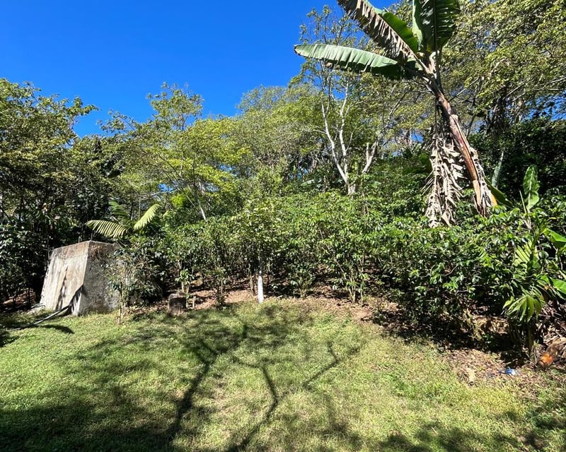 Finca en Venta en Fraijanes, Guatemala | Km 16-30