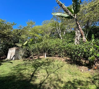 Finca en Venta en Fraijanes, Guatemala | Km 16-30