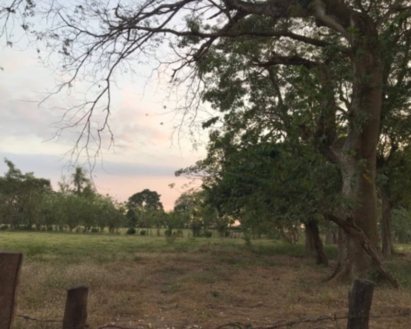 Excelente terreno de 17 manzanas en Nueva Concepción Escuintla