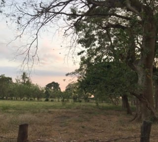 Excelente terreno de 17 manzanas en Nueva Concepción Escuintla