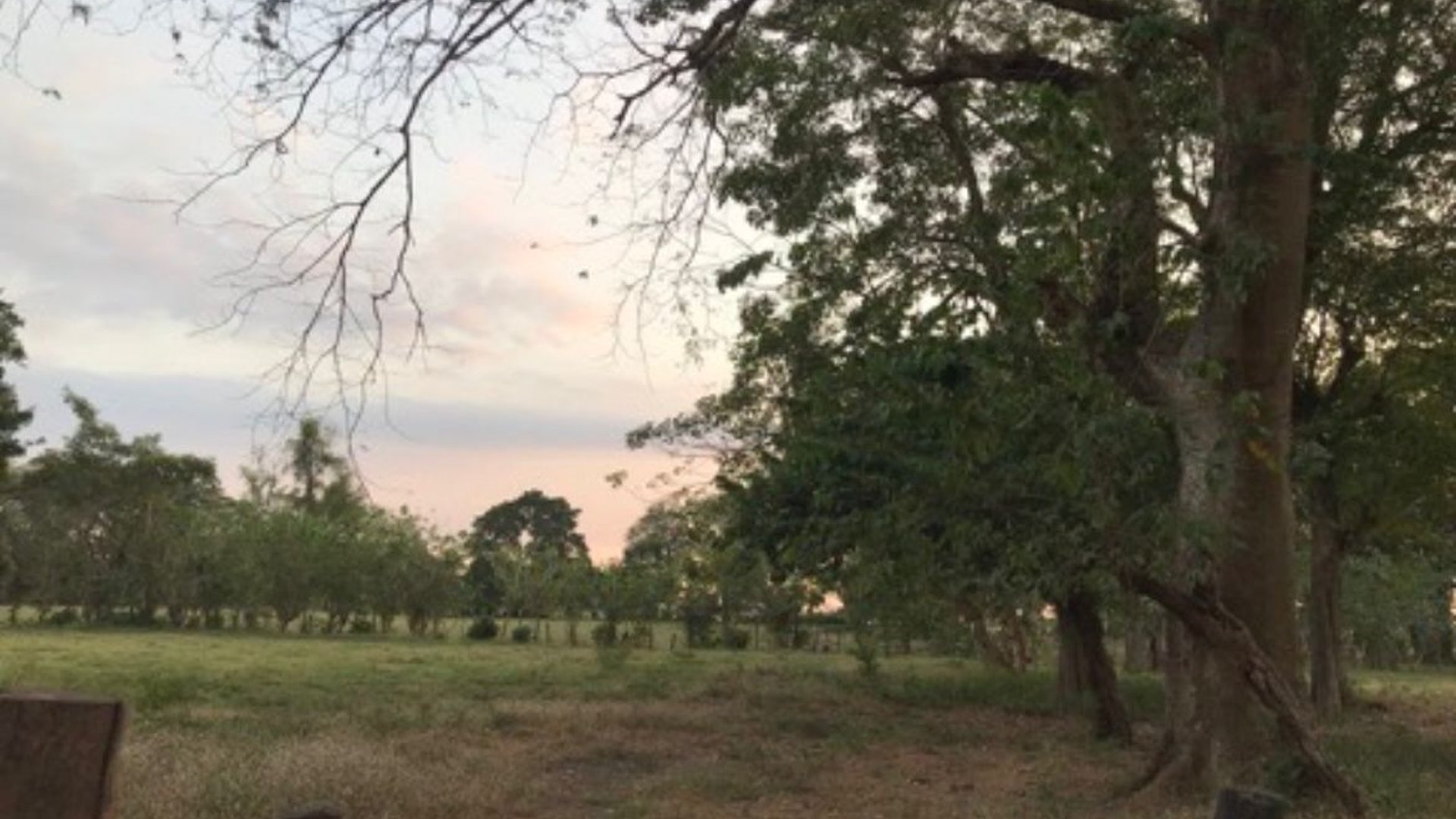 Excelente terreno de 17 manzanas en Nueva Concepción Escuintla