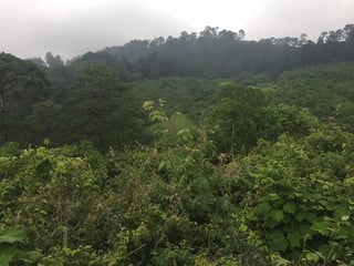 Terreno en venta zona 16, Vista Hermosa IV - 2