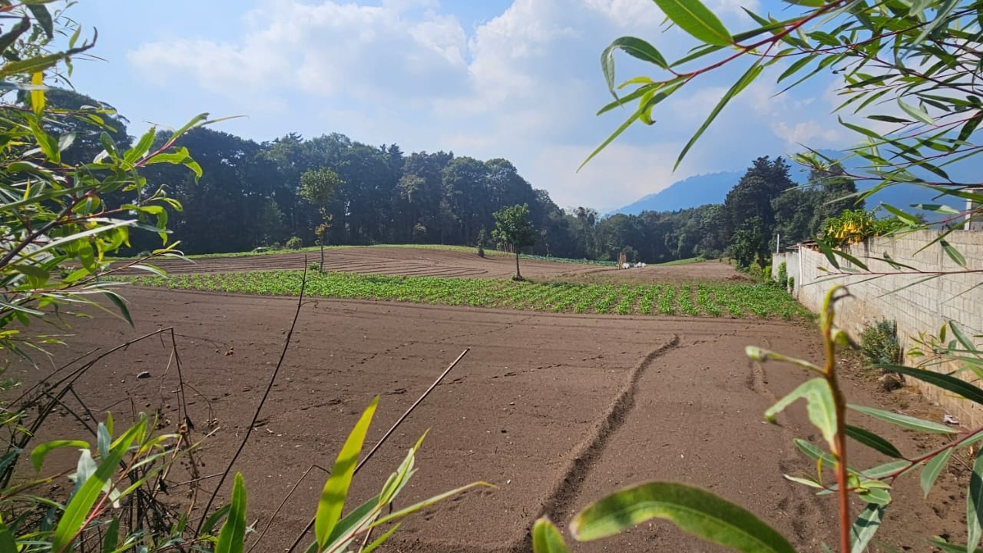 Terreno en Venta en Aldea La Federación, San Marcos, San Marcos