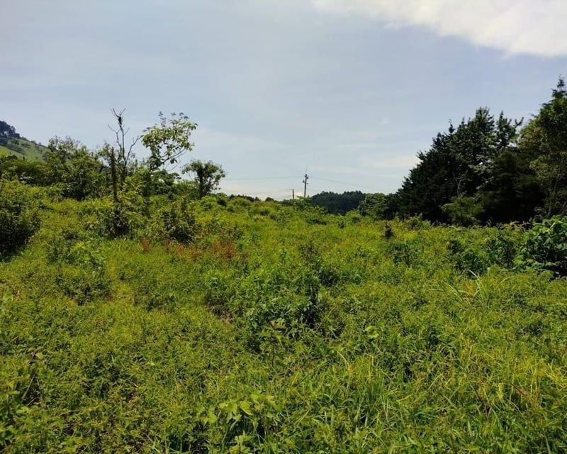 TERRENO CARRETERA A FRAIJANES  EN VENTA , CES