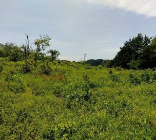 TERRENO CARRETERA A FRAIJANES  EN VENTA , CES