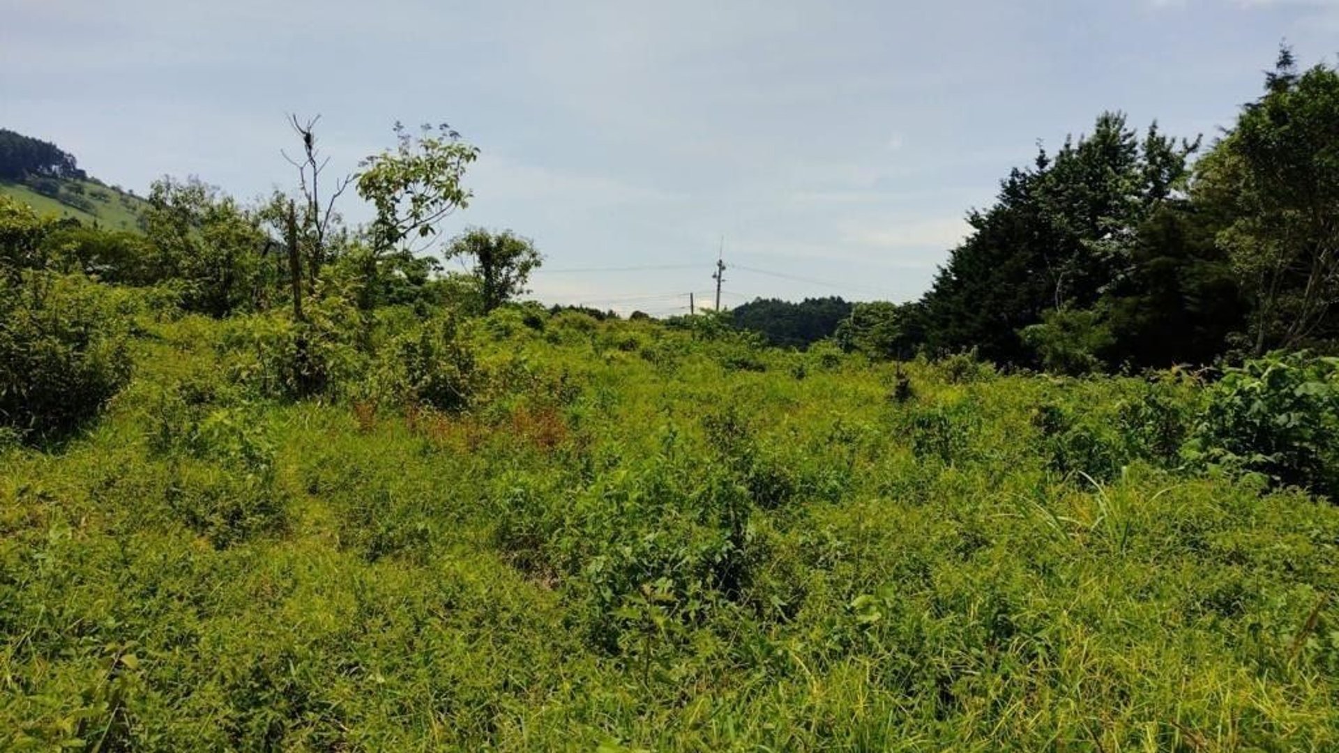 TERRENO CARRETERA A FRAIJANES  EN VENTA , CES