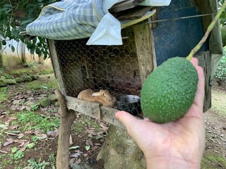 Granja en venta / Santa Lucía Milpas altas - Image 32