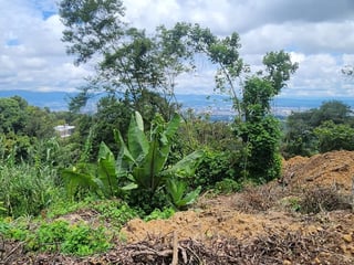 Vendo Terrenos en Santa Rosalia La Laguna, Bosque Casuarinas  - 3