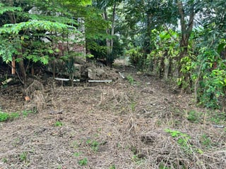 TERRENO Y CASA EN VENTA EN DOÑA MARIA GUALAN ZACAPA - 3