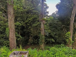 TERRENOS EN VENTA EN SANTA ROSALIA - 2