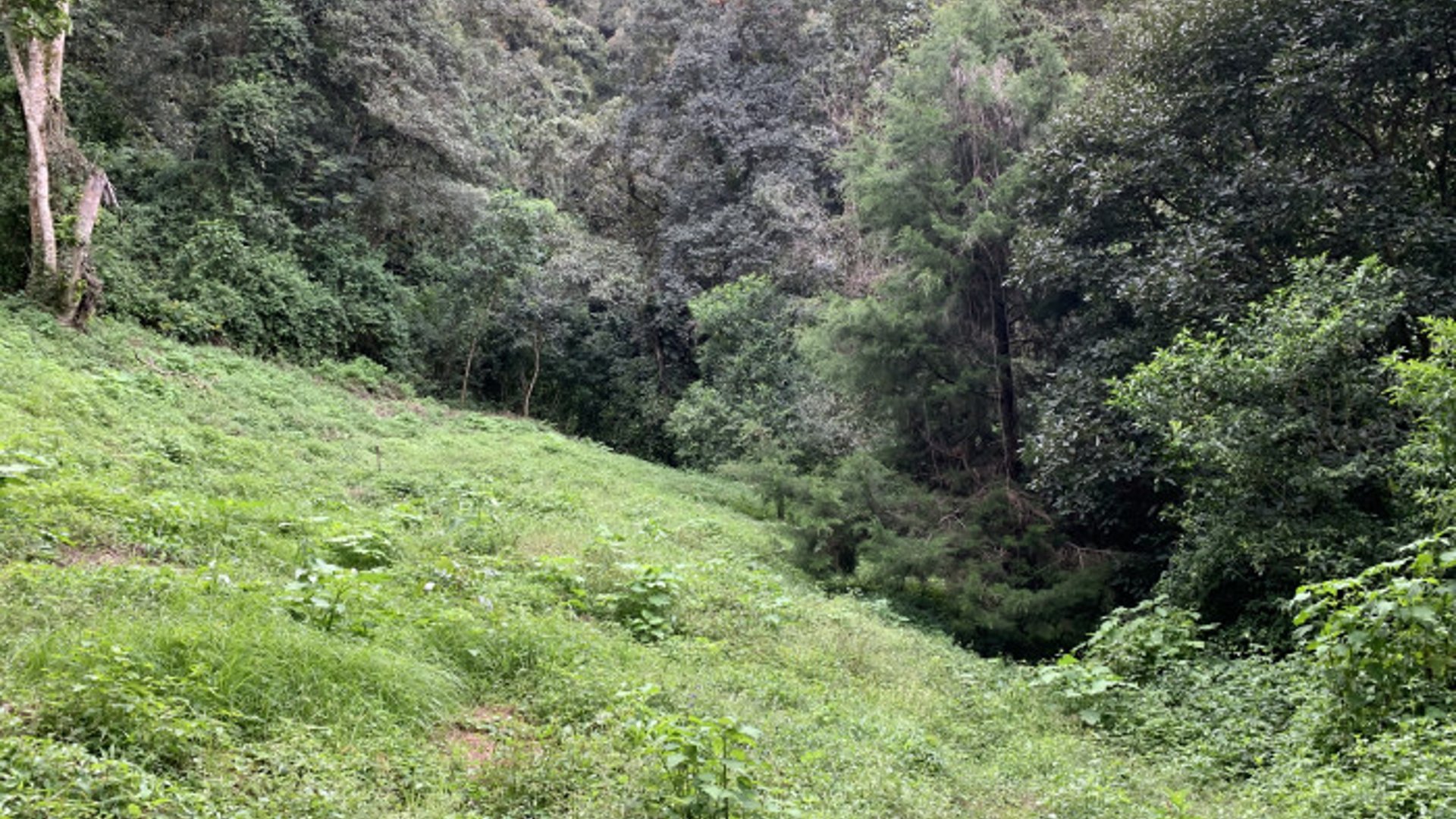 Finca en venta en Santiago Sacatepequez - Miniatura 4