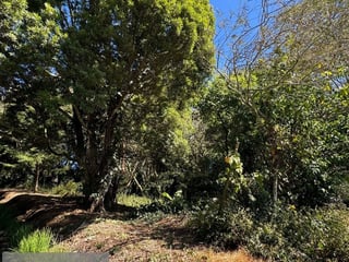 SAN GERMAN DE LA MONTAÑA / Casa en venta con Amplio Terreno, CES - 2