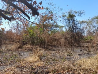 Terreno de 14 x 50 metros en Venta Quintas Malibu - 2
