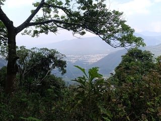 OPORTUNIDAD DE INVERSIÓN EN ALDEA EL HATO, ANTIGUA GUATEMAL - 3