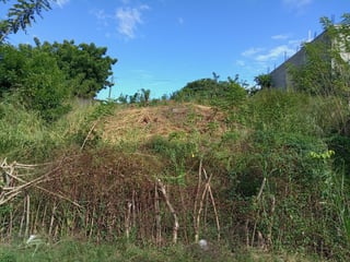 4 LOTES EN VENTA EN EL VALLE DEL MOTAGUA GUALAN ZACAPA - 2