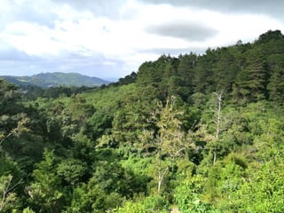 Terreno en venta en Piedra Parada, CES Guatemala - Image 12
