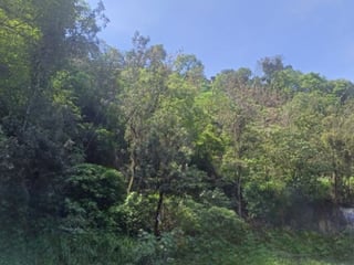 Terreno Comercial sobre Carretera Hacia Boca del Monte - Image 10