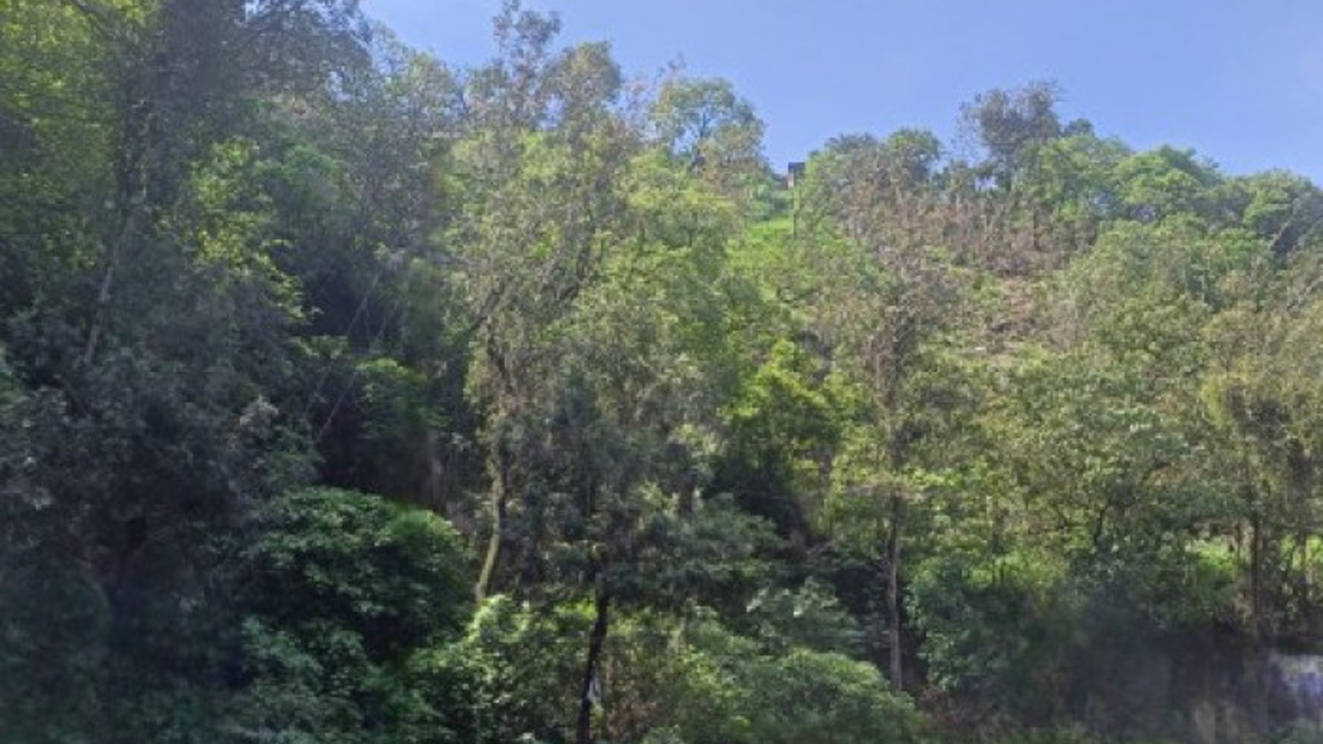 Terreno Comercial sobre Carretera Hacia Boca del Monte - Miniatura 10