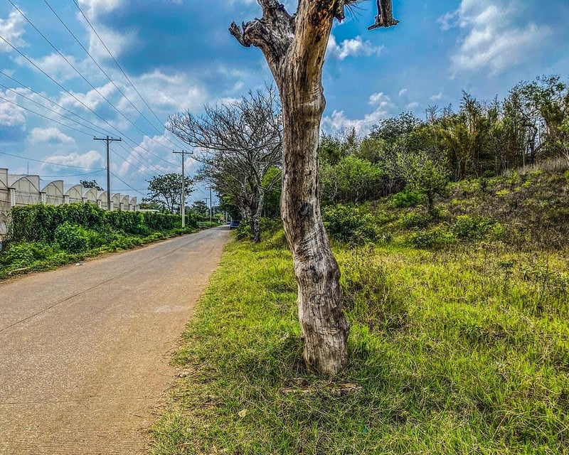 Terreno de 10 manzanas en venta – El Jocotillo, Villa Canales
