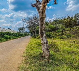 Terreno de 10 manzanas en venta – El Jocotillo, Villa Canales