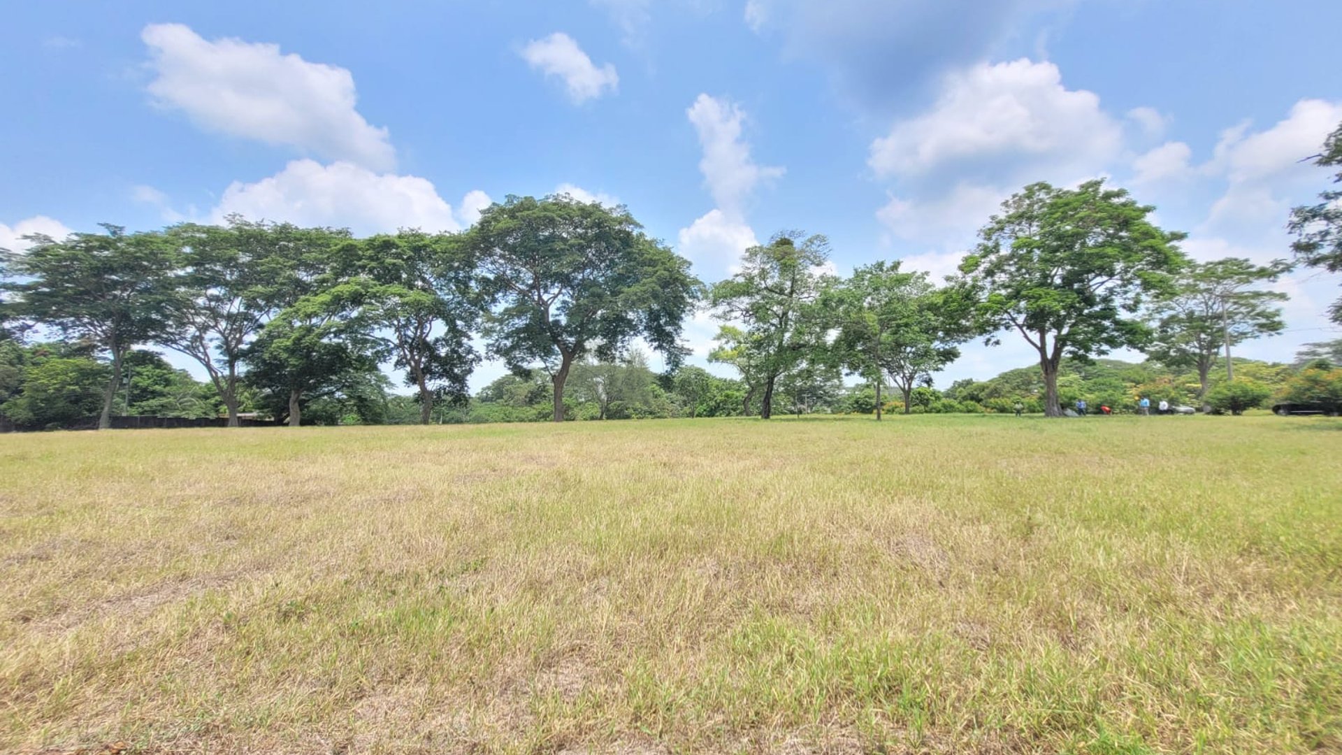 VENTA Terreno Industrial para Bodega Km 67.5 a Taxisco - Miniatura 7