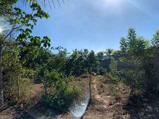 Terreno en venta, Monterrico Santa Rosa - 2