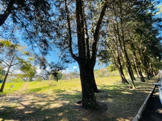 VENTA DE AMPLIO TERRENO - PREMIERE CAMPESTRE, KM 22.5 CES - 3