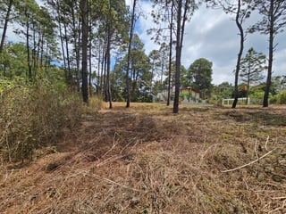 VENTA Terreno Km. 43 Residencial Hacienda Las Llanuras Sumpango  - 5