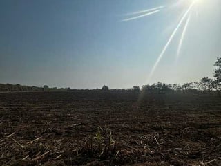 Terreno en Venta  Carretera Antigua Puerto  San José - Image 10