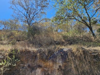 Terreno en Venta Zona 18 Carretera a El Atlántico - 5