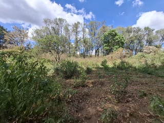Terreno rustico en Venta Solares del Trigal Sumpango - 3