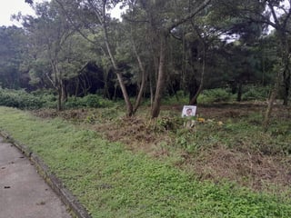 Venta terreno residencial Casa y Campo  km 23.5 CAES. - 2