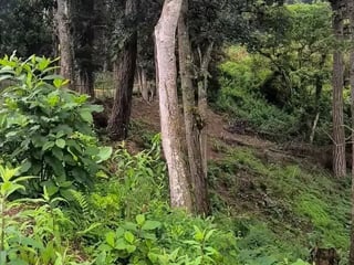 SANTA ROSALÍA / Terrenos en venta km 12.5 santa Rosalía - 3