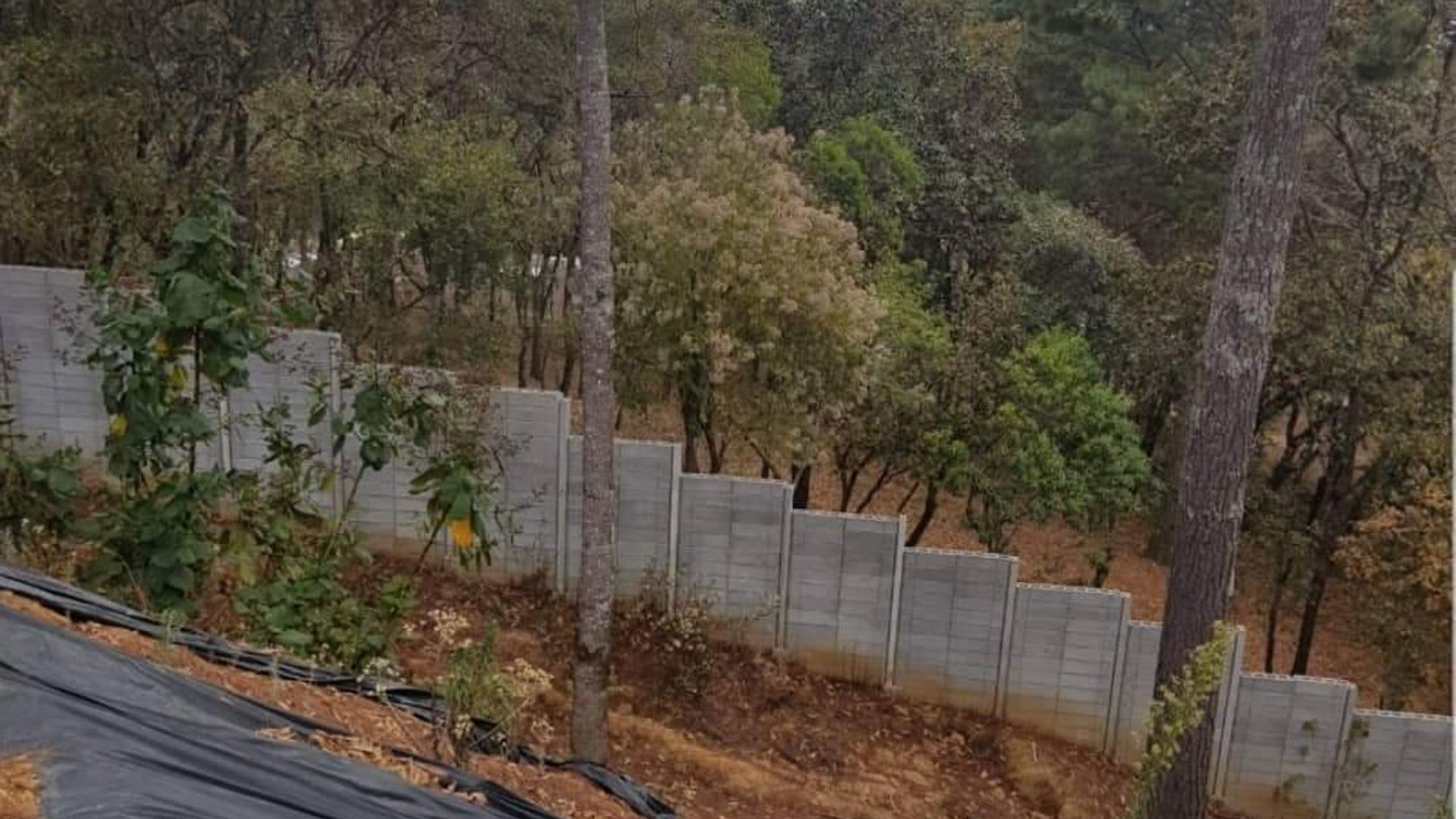 EL ENCINAL/ TERRENO EN VENTA - Miniatura 4