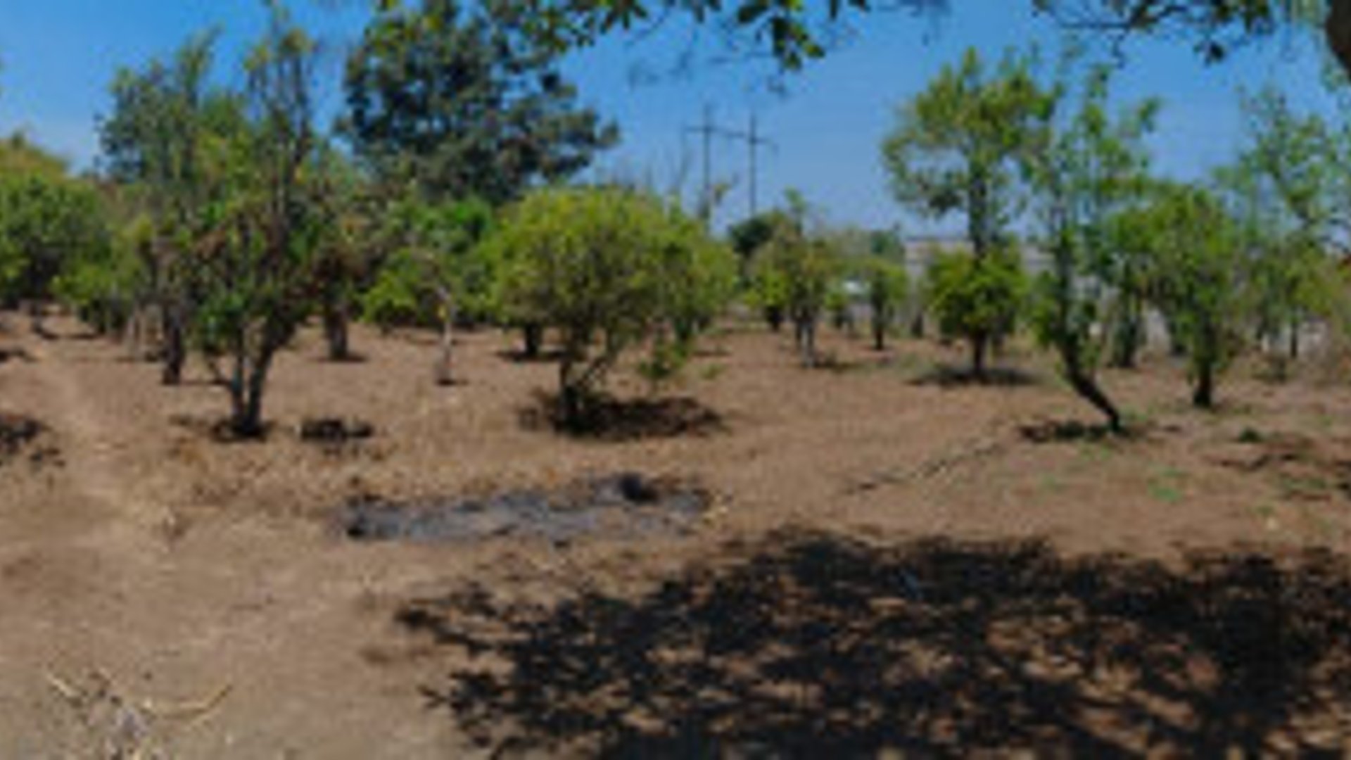 TERRENO EN VENTA EN CHIMALTENANGO - Miniatura 11