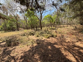 Venta de Terrenos en Condominio Casa & Campo - 5