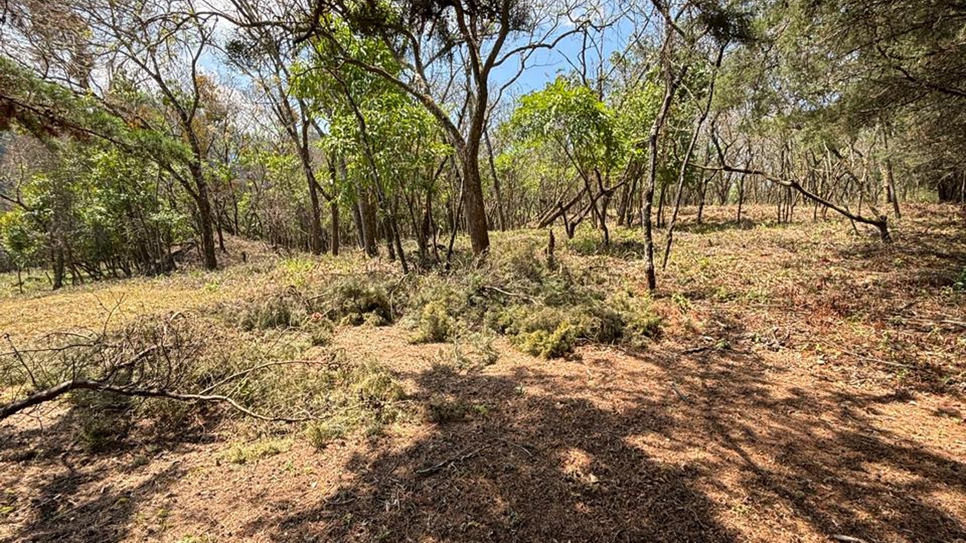 Venta de Terrenos en Condominio Casa & Campo - Miniatura 5