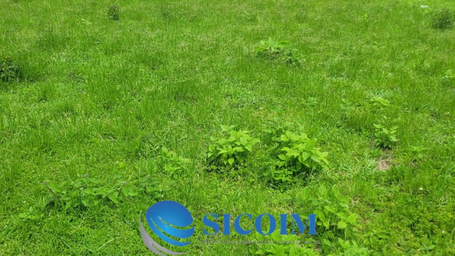 Terreno a la Venta en Carretera a El Salvador - Miniatura 3