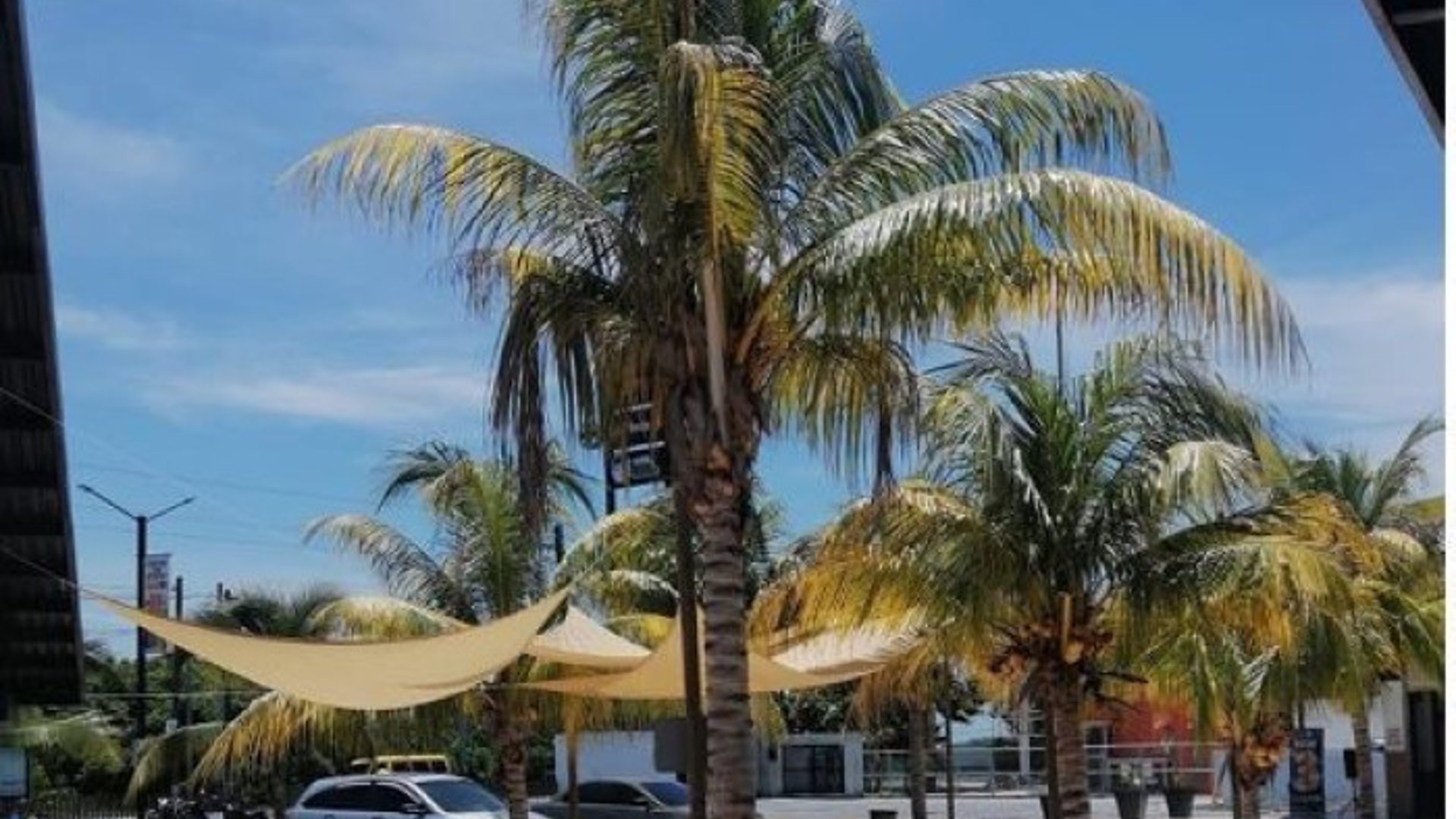 Alquilo Local comercial en  Iztapa, Puerto de San José - Miniatura 4