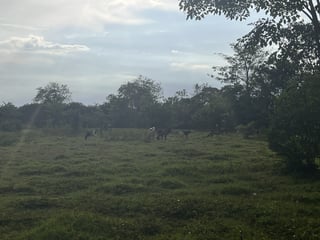 Citymax promueve Terreno Comercial en Venta en Masagua - Image 1