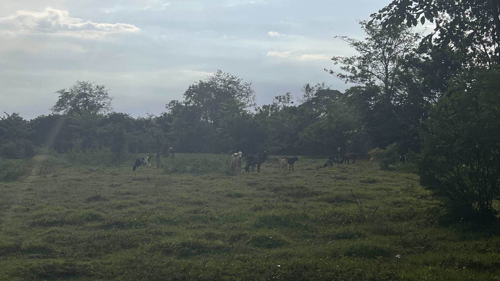 Citymax promueve Terreno Comercial en Venta en Masagua