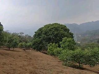 Vendo Propiedad para contruir 1 o varias Casas de Campo en Granja - 4