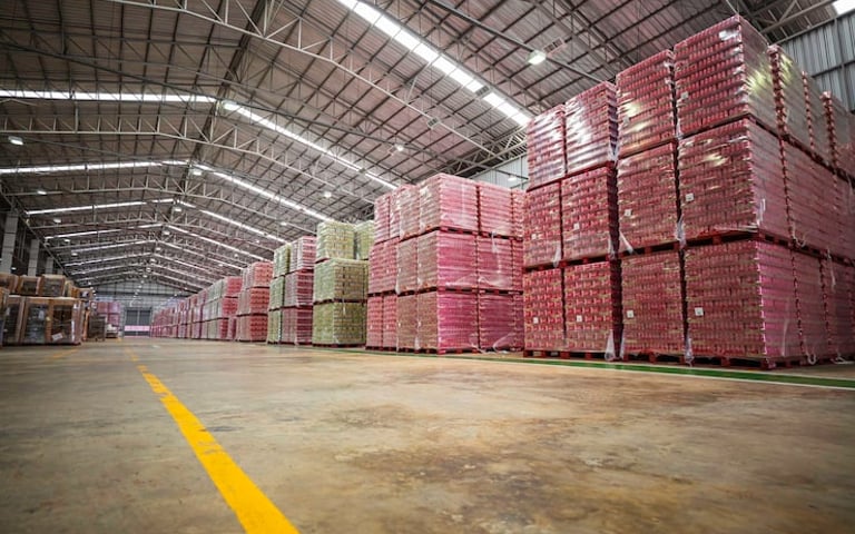 RENTO. NAVE 7,000 MTS. PALIN ESCUINTLA