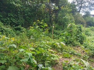 TERRENO EN VENTA EN SAN LUCAS SACATEPEQUEZ - 4