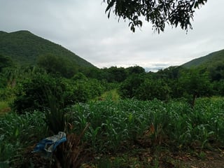 FINCA EN VENTA EN EL PROGRESO  - 2