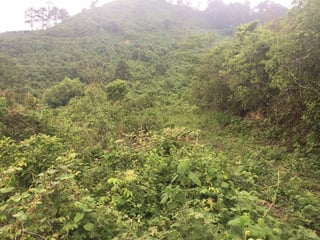 Terreno en venta zona 16, Vista Hermosa IV - 3