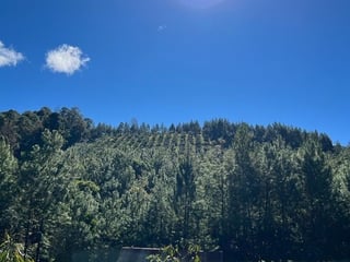 Finca en Venta en La Unión Barrios Km. 152, Baja Verapaz - 4