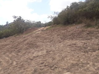 Terreno en Venta en Km 10 Carretera al Atlántico, de 16 manzanas  - Image 3